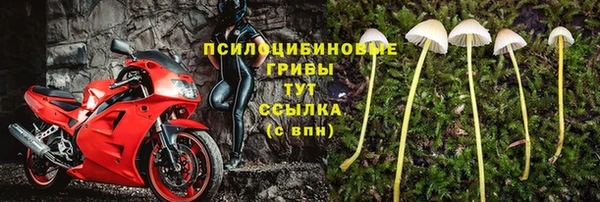 спайс Алексин